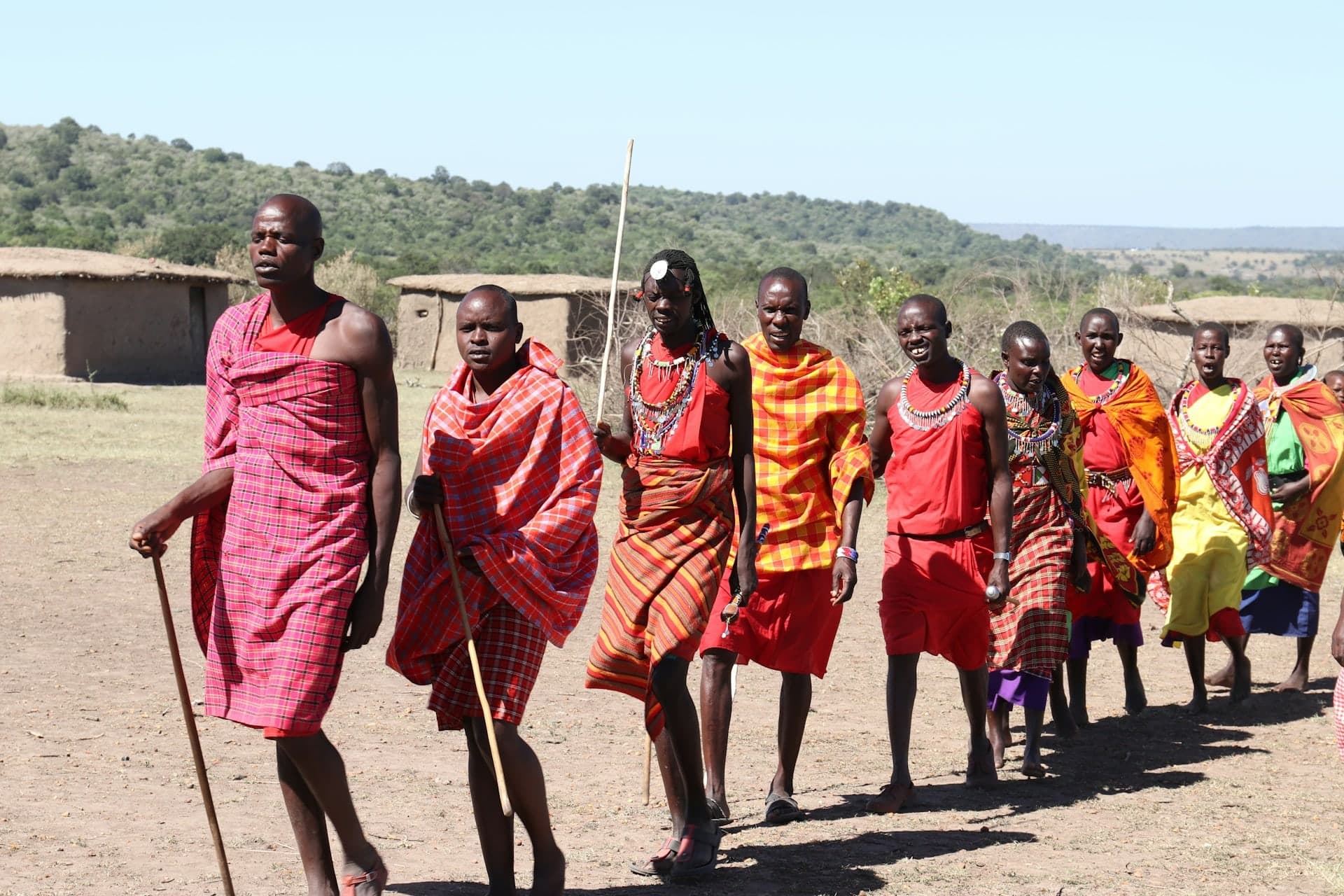 A line of Maasai men and women in red shukas walking past a village